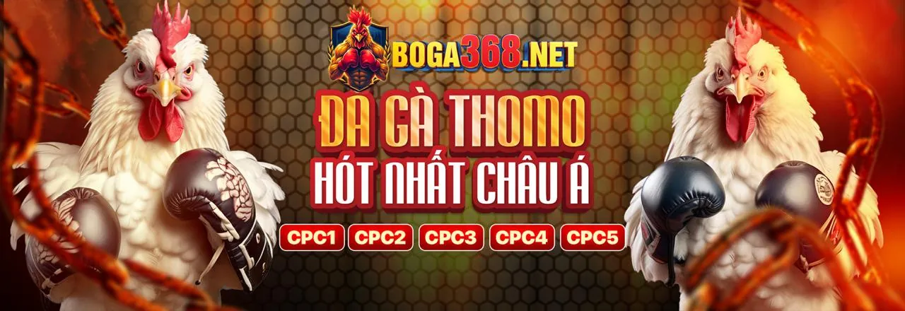 Sân vận động thể thao sôi động của cm8825