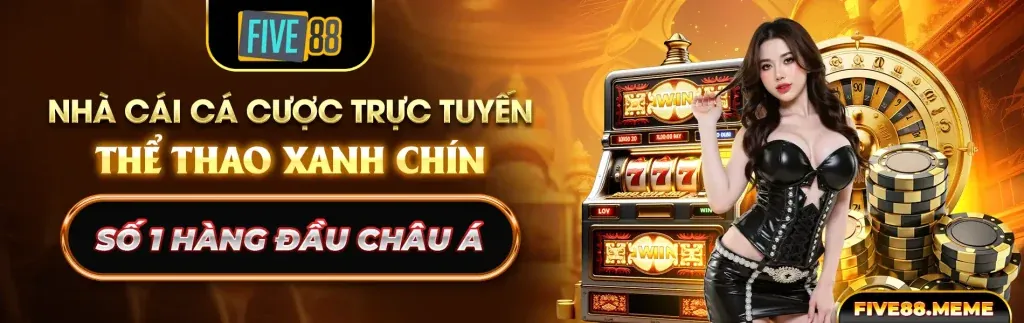 Truy Cập Nhanh Chóng